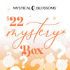 $22 MYSTERY BOX