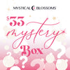 $33 MYSTERY BOX